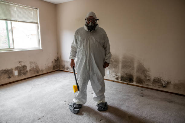 Best Industrial Mold Remediation in Oswego, KS